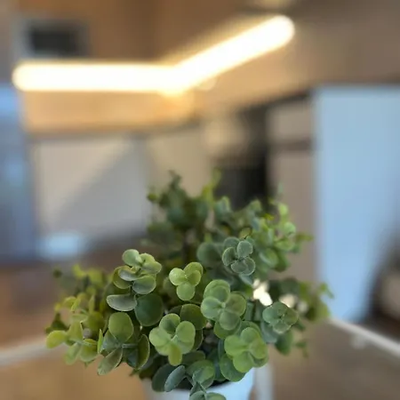 Maralta - Vut 6939 As Luanco